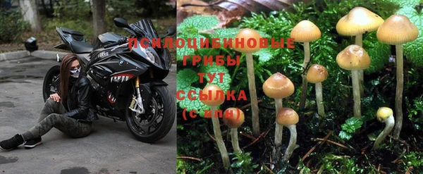 ALPHA-PVP Покровск
