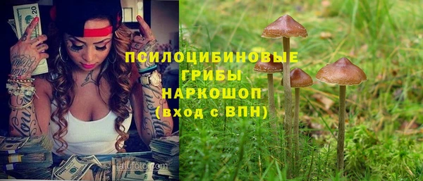 трава Покачи