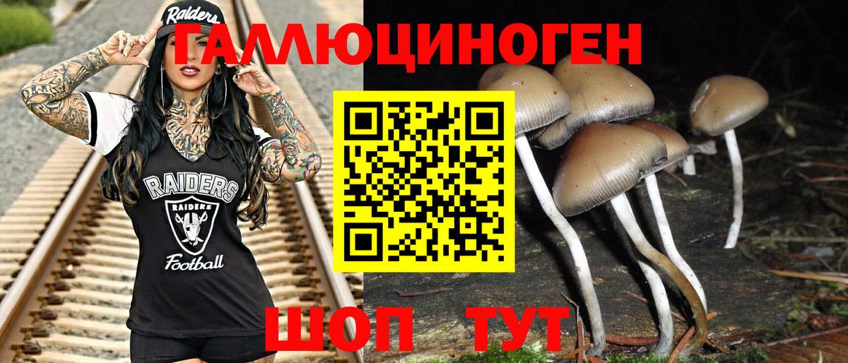 Советск  Псилоцибиновые грибы ЛСД  Вход с VPN 