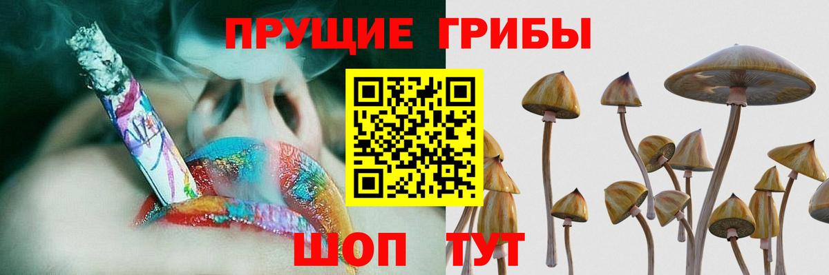 Галлюциногенные грибы Psilocybe Советск
