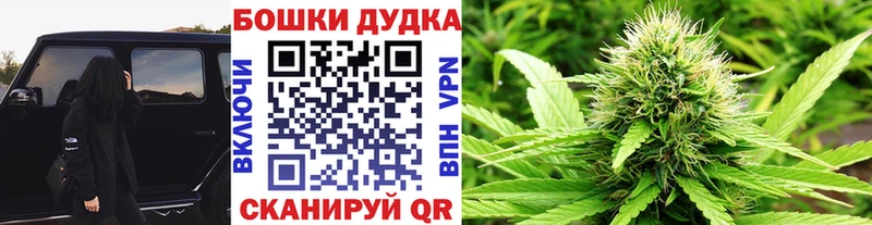 Конопля планчик  Советск 